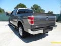 Sterling Grey Metallic - F150 Texas Edition SuperCrew 4x4 Photo No. 5