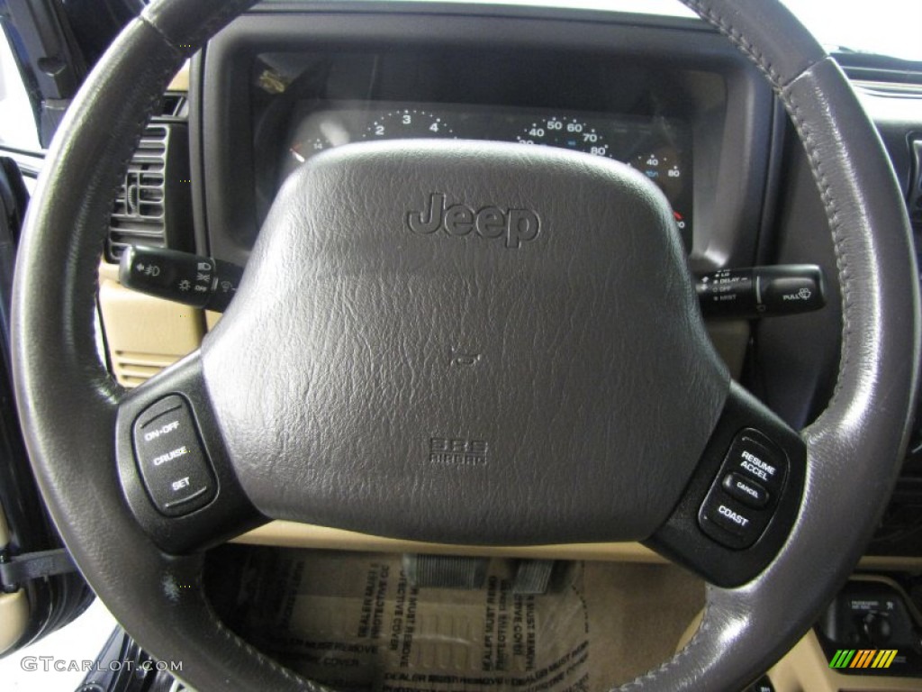 2002 Wrangler Sahara 4x4 - Black / Camel Beige/Dark Green photo #9