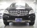 Black - ML 350 4Matic Photo No. 2