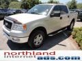 2004 Silver Metallic Ford F150 XLT SuperCrew 4x4  photo #4