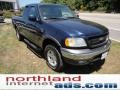 2002 True Blue Metallic Ford F150 XLT SuperCab 4x4  photo #2