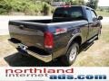 2002 True Blue Metallic Ford F150 XLT SuperCab 4x4  photo #7