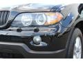 Jet Black - X5 3.0i Photo No. 31