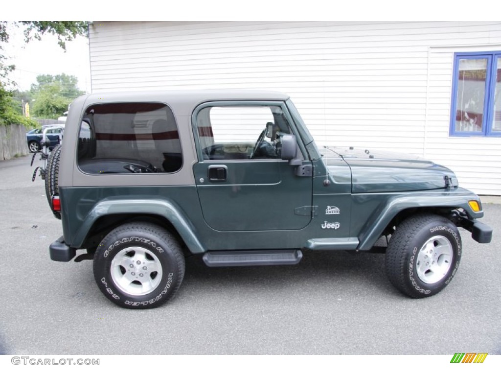 2003 Wrangler Sahara 4x4 - Shale Green Metallic / Khaki photo #4