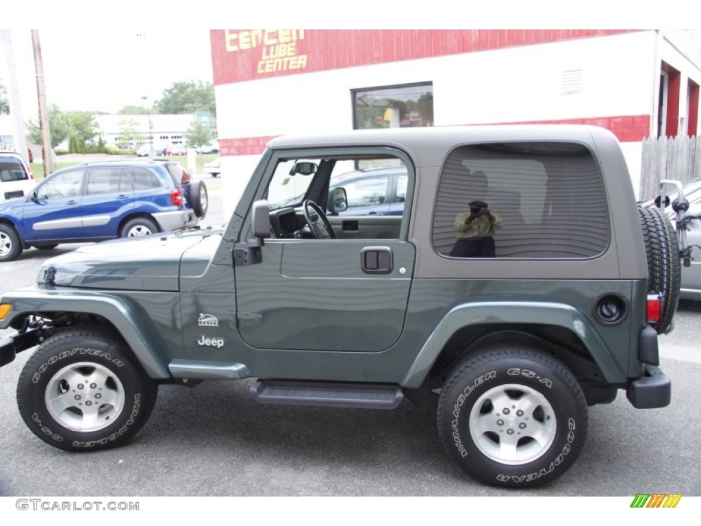 2003 Wrangler Sahara 4x4 - Shale Green Metallic / Khaki photo #10