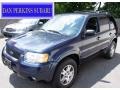 True Blue Metallic 2004 Ford Escape Limited 4WD