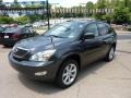 Smokey Granite - RX 350 AWD Photo No. 5