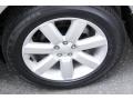 2009 Diamond Gray Metallic Subaru Outback 2.5i Special Edition Wagon  photo #16