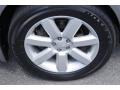 2009 Diamond Gray Metallic Subaru Outback 2.5i Special Edition Wagon  photo #18