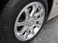 Linen Gold Metallic - 300 C HEMI Photo No. 20
