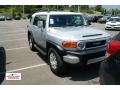 Titanium Metallic - FJ Cruiser 4WD Photo No. 1