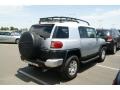 Titanium Metallic - FJ Cruiser 4WD Photo No. 2
