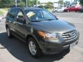 2010 Black Forest Green Metallic Hyundai Santa Fe GLS 4WD  photo #4