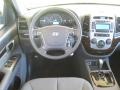 2010 Black Forest Green Metallic Hyundai Santa Fe GLS 4WD  photo #25