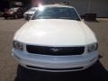 2008 Performance White Ford Mustang V6 Premium Convertible  photo #8