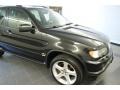 Black Sapphire Metallic 2003 BMW X5 4.6is