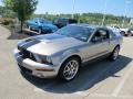 2008 Vapor Silver Metallic Ford Mustang Shelby GT500 Coupe  photo #6