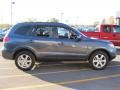 2009 Steel Gray Hyundai Santa Fe SE 4WD  photo #14