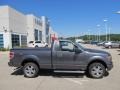 Sterling Grey Metallic - F150 STX Regular Cab Photo No. 2