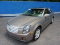 Radiant Bronze - CTS Sedan Photo No. 8
