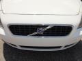 Ice White - S40 2.4i Photo No. 38