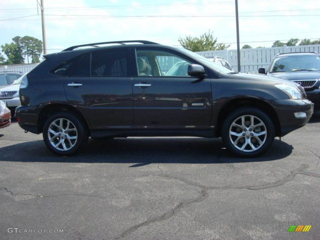 2009 RX 350 AWD - Truffle Mica / Parchment photo #3