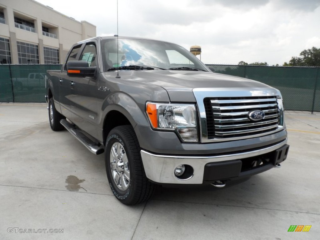 2011 F150 Texas Edition SuperCrew 4x4 - Sterling Grey Metallic / Steel Gray photo #1