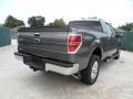 Sterling Grey Metallic - F150 Texas Edition SuperCrew 4x4 Photo No. 3