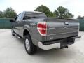 Sterling Grey Metallic - F150 Texas Edition SuperCrew 4x4 Photo No. 5