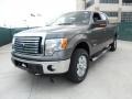 2011 Sterling Grey Metallic Ford F150 Texas Edition SuperCrew 4x4  photo #7