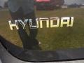 2011 Black Forest Green Hyundai Santa Fe Limited  photo #15