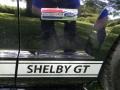 2007 Ford Mustang GT Premium Coupe Marks and Logos