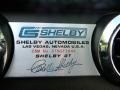 2007 Ford Mustang GT Premium Coupe Marks and Logos