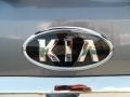 Alpine Gray - Sorento LX Photo No. 20