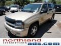 Sandstone Metallic - TrailBlazer LS 4x4 Photo No. 4