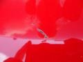 2009 Absolutely Red Toyota Yaris 3 Door Liftback  photo #22