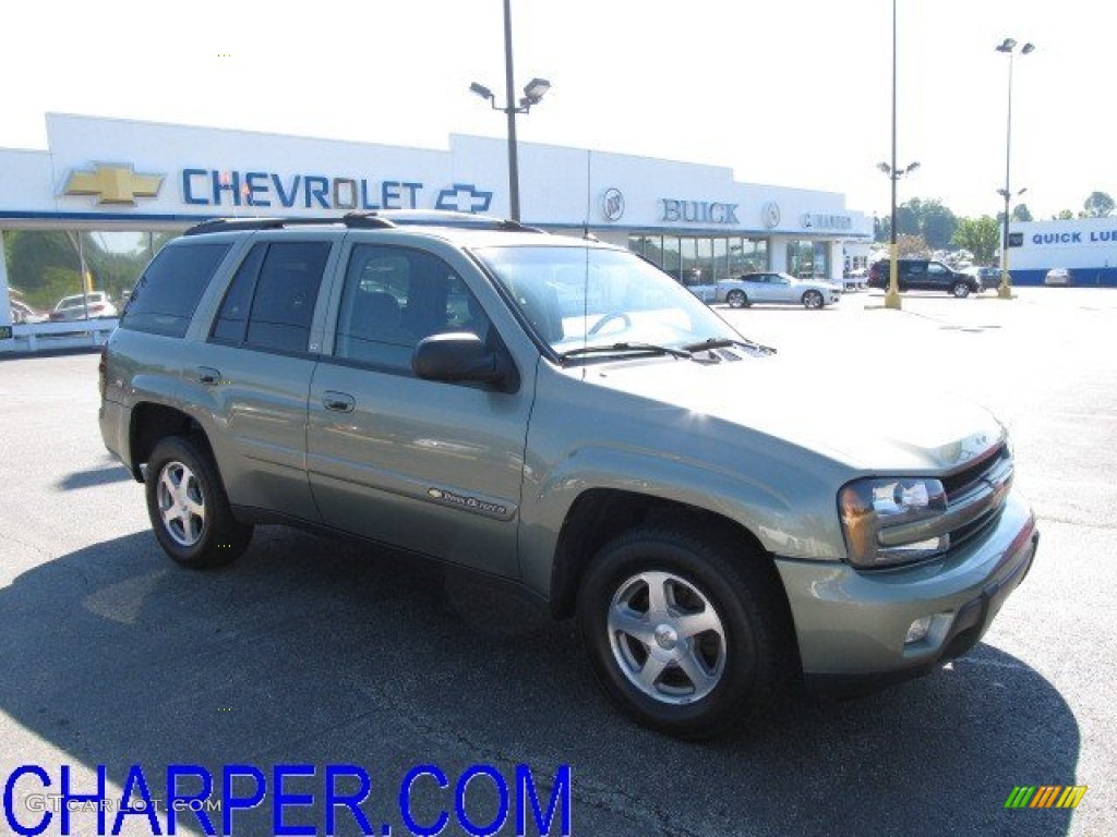 2004 TrailBlazer LT 4x4 - Silver Green Metallic / Medium Pewter photo #1