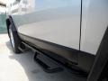 Titanium Metallic - FJ Cruiser  Photo No. 19