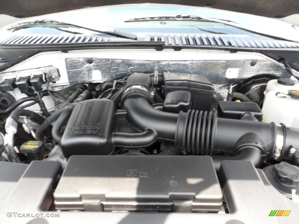 2010 Ford Expedition Limited 5.4 Liter Flex-Fuel SOHC 24-Valve VVT V8 Engine Photo #51227927