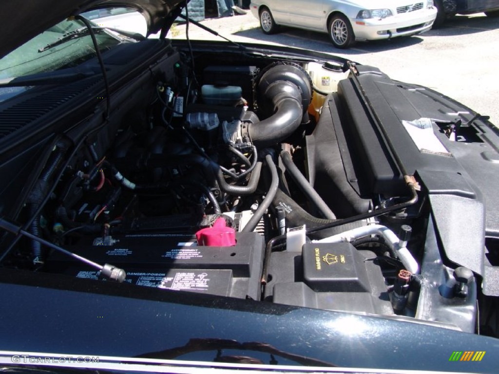 2003 Ford F150 XL Regular Cab 4x4 4.2 Liter OHV 12V Essex V6 Engine Photo #51228668
