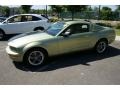 Legend Lime Metallic 2005 Ford Mustang V6 Premium Coupe
