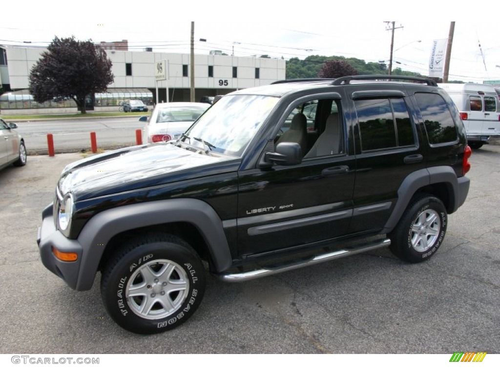 2002 Liberty Sport 4x4 - Black / Taupe photo #1