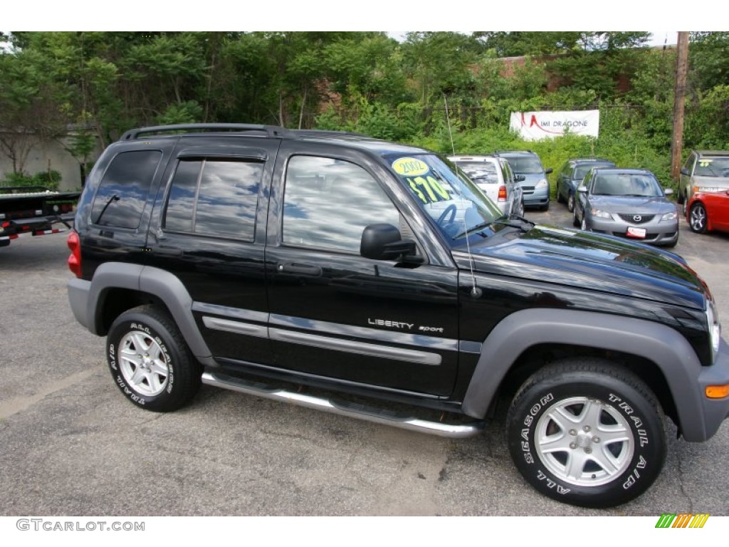 2002 Liberty Sport 4x4 - Black / Taupe photo #3