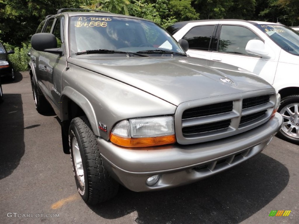 1999 Durango SLT 4x4 - Light Driftwood Satin Glow / Mist Gray photo #1