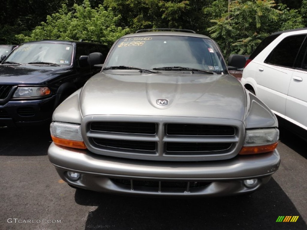 1999 Durango SLT 4x4 - Light Driftwood Satin Glow / Mist Gray photo #2