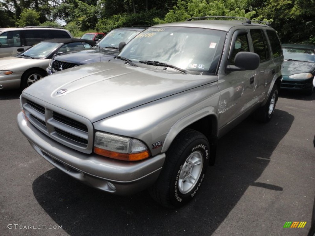 1999 Durango SLT 4x4 - Light Driftwood Satin Glow / Mist Gray photo #3