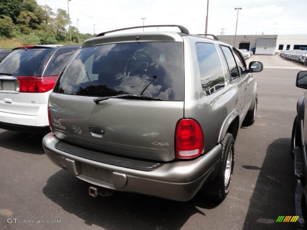 1999 Durango SLT 4x4 - Light Driftwood Satin Glow / Mist Gray photo #6