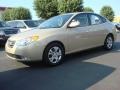 Laguna Sand - Elantra GLS Photo No. 7