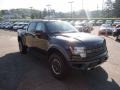 Tuxedo Black Metallic - F150 SVT Raptor SuperCrew 4x4 Photo No. 6