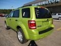 2011 Lime Squeeze Metallic Ford Escape XLT V6 4WD  photo #2